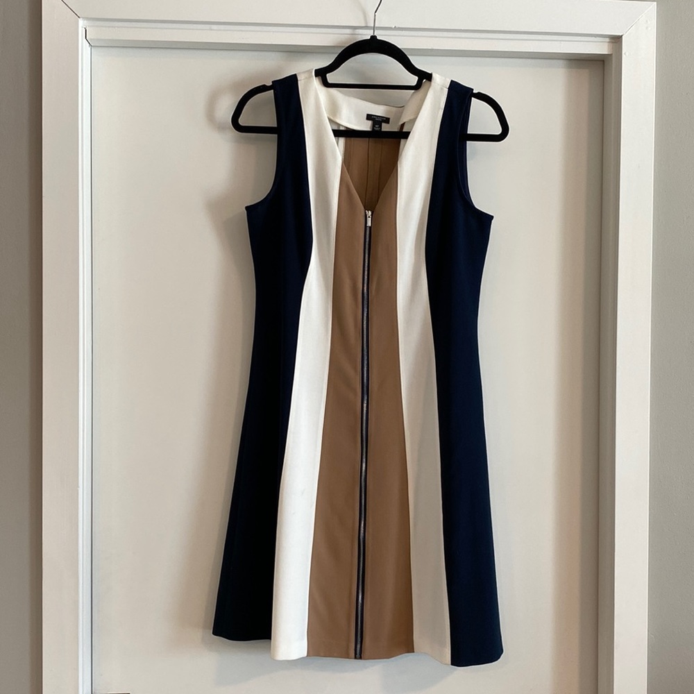 Ann Taylor 8P Dress